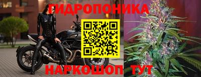 прущая мука Славгород